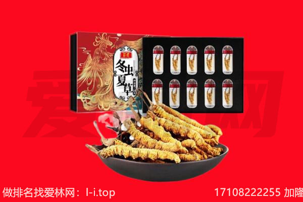 武汉硚口区回收虫草.jpg